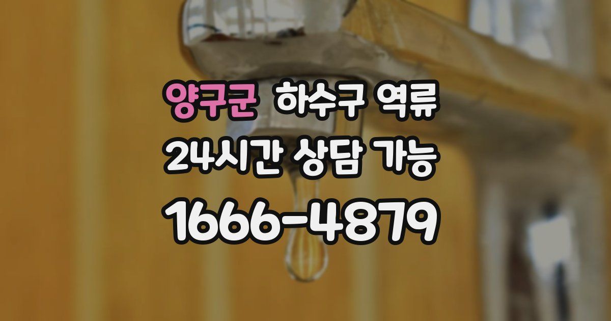 양구군 하수구 역류