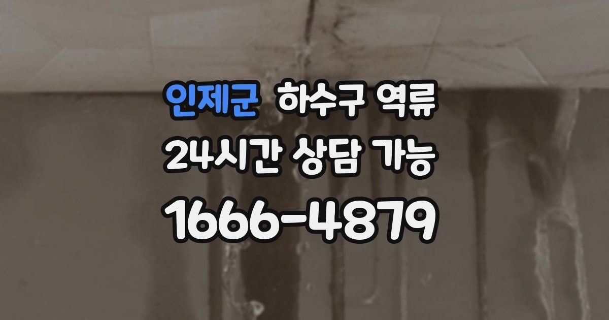인제군 하수구 역류