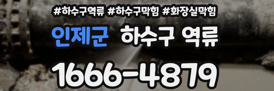 인제군 하수구 역류
