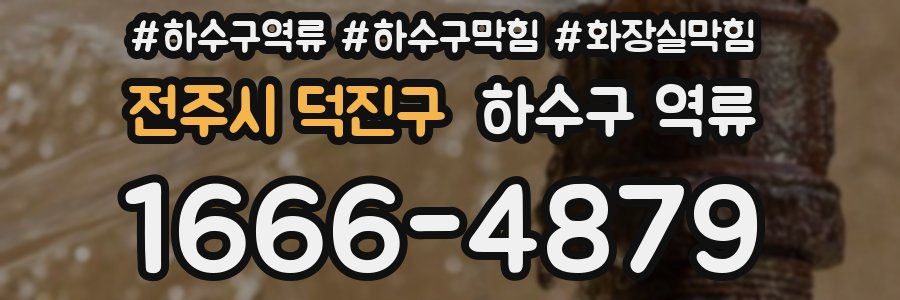 전주시 덕진구 하수구 역류