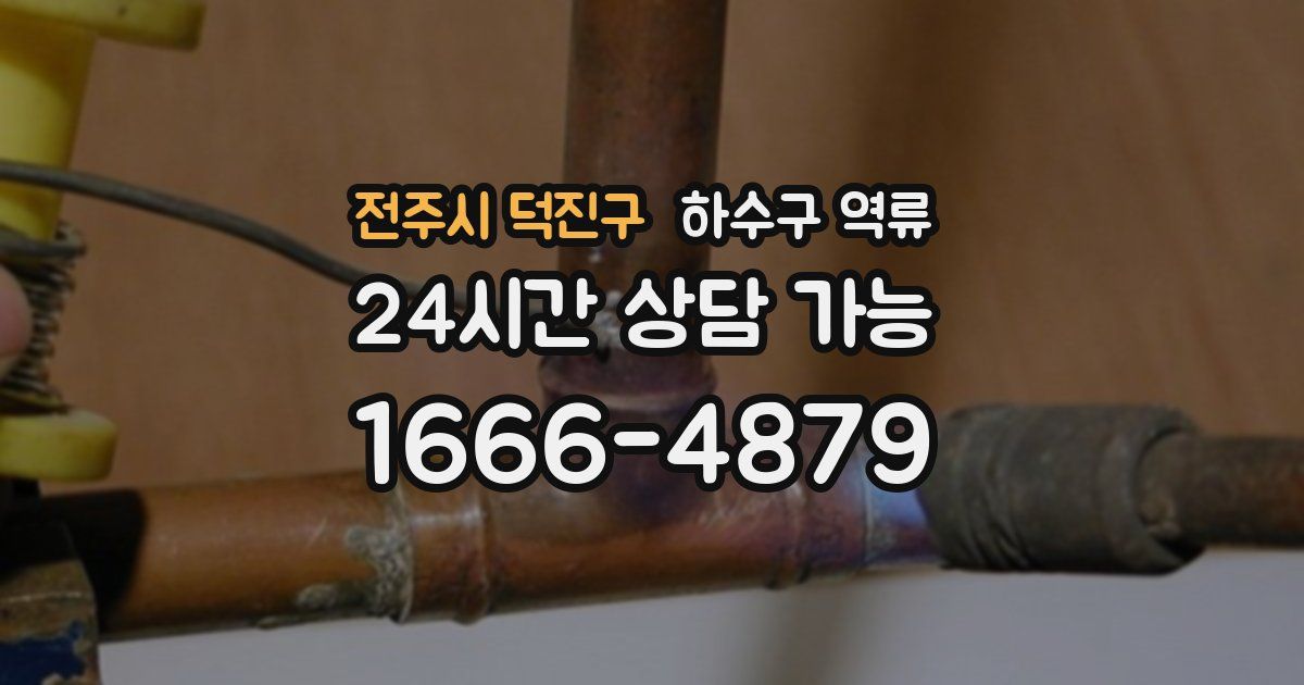 전주시 덕진구 하수구 역류