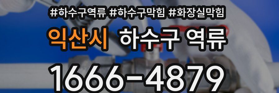 익산시 하수구 역류