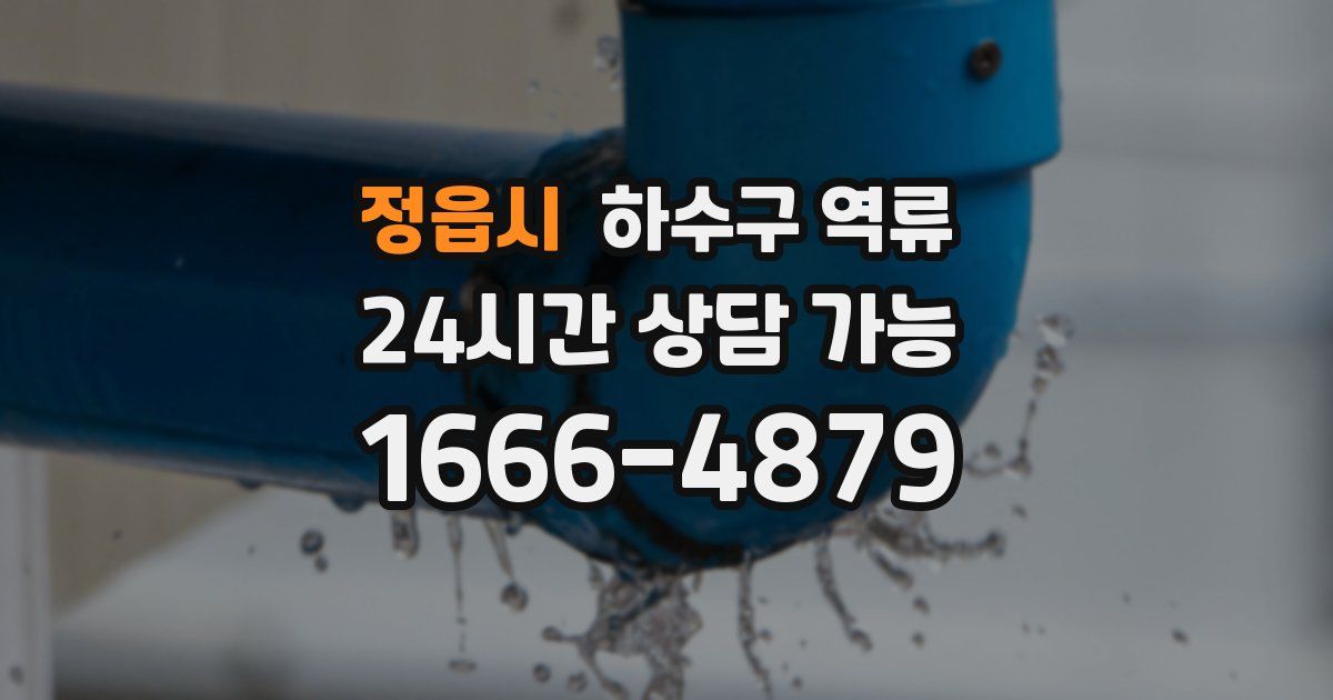 정읍시 하수구 역류