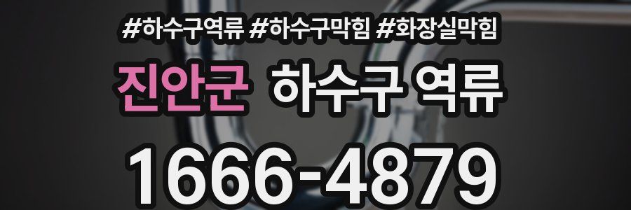 진안군 하수구 역류