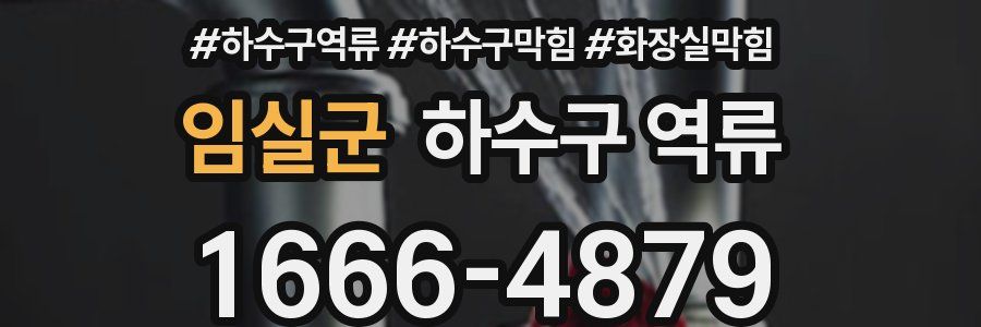 임실군 하수구 역류