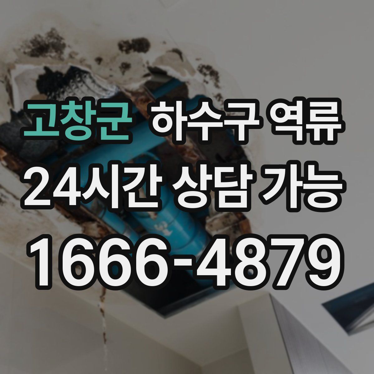 고창군 하수구 역류