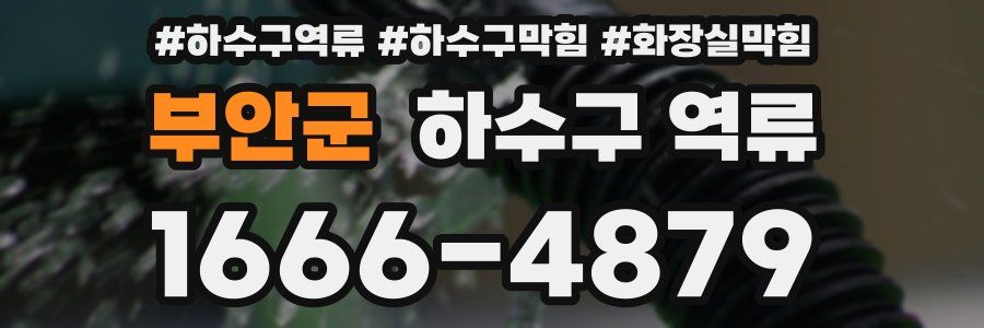 부안군 하수구 역류