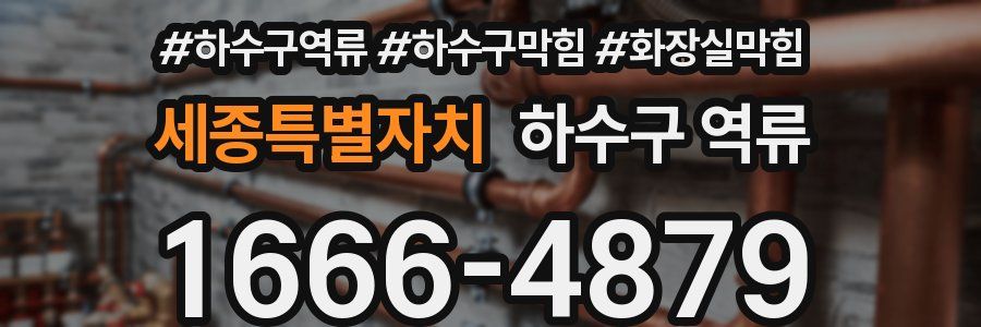 세종특별자치 하수구 역류