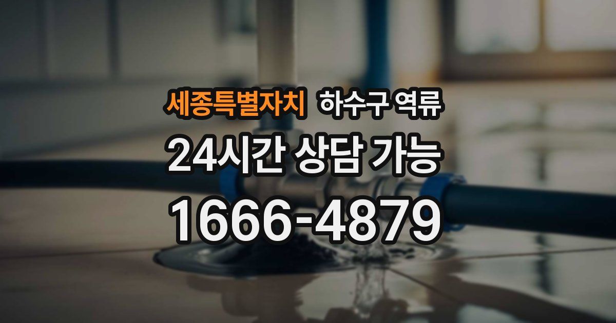 세종특별자치 하수구 역류