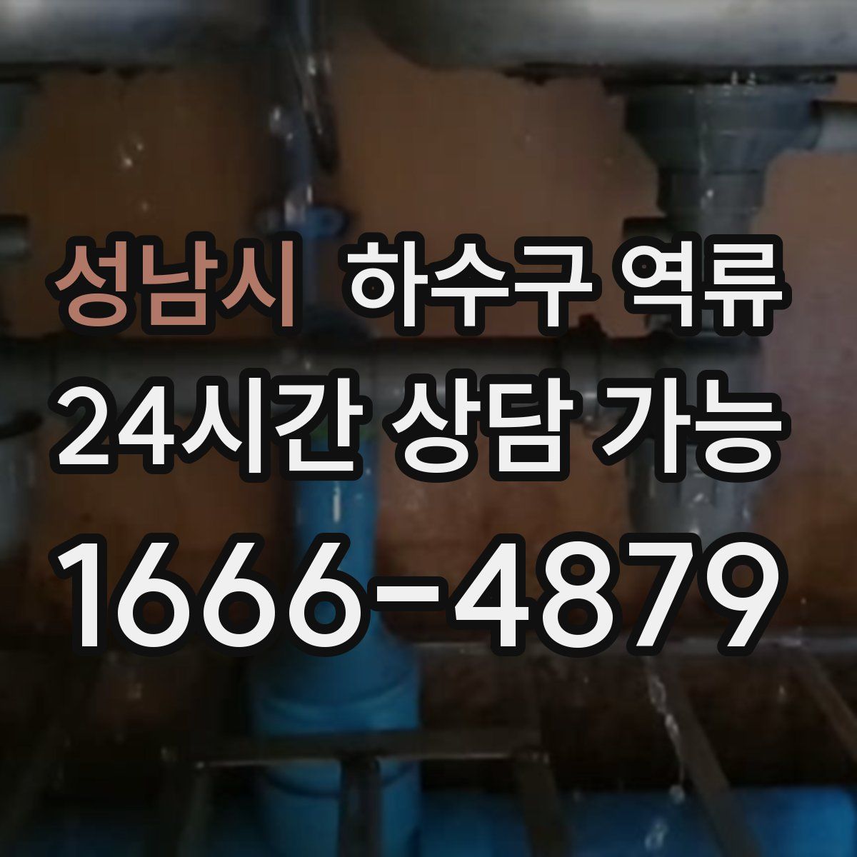 성남시 하수구 역류