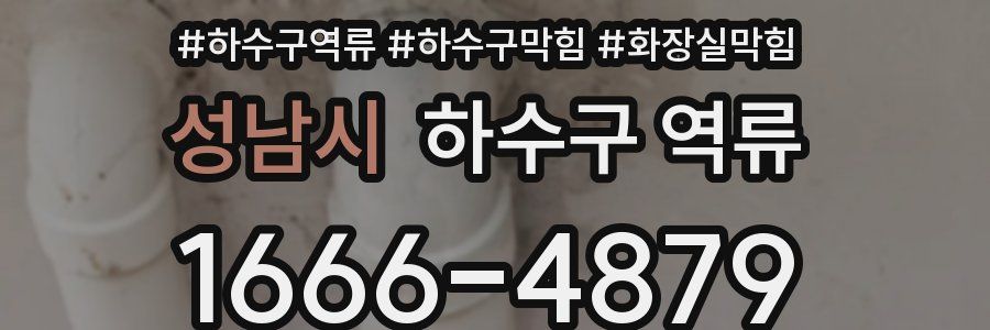 성남시 하수구 역류
