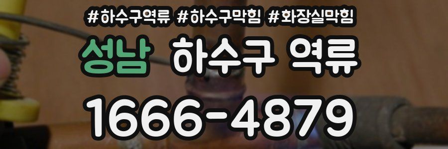 성남 하수구 역류