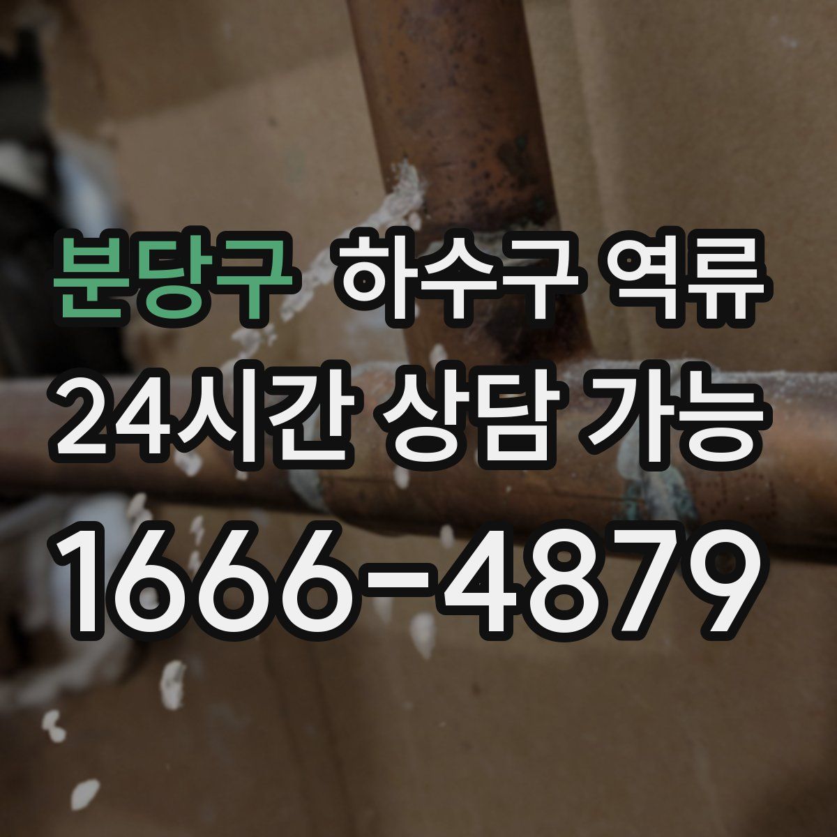 분당구 하수구 역류