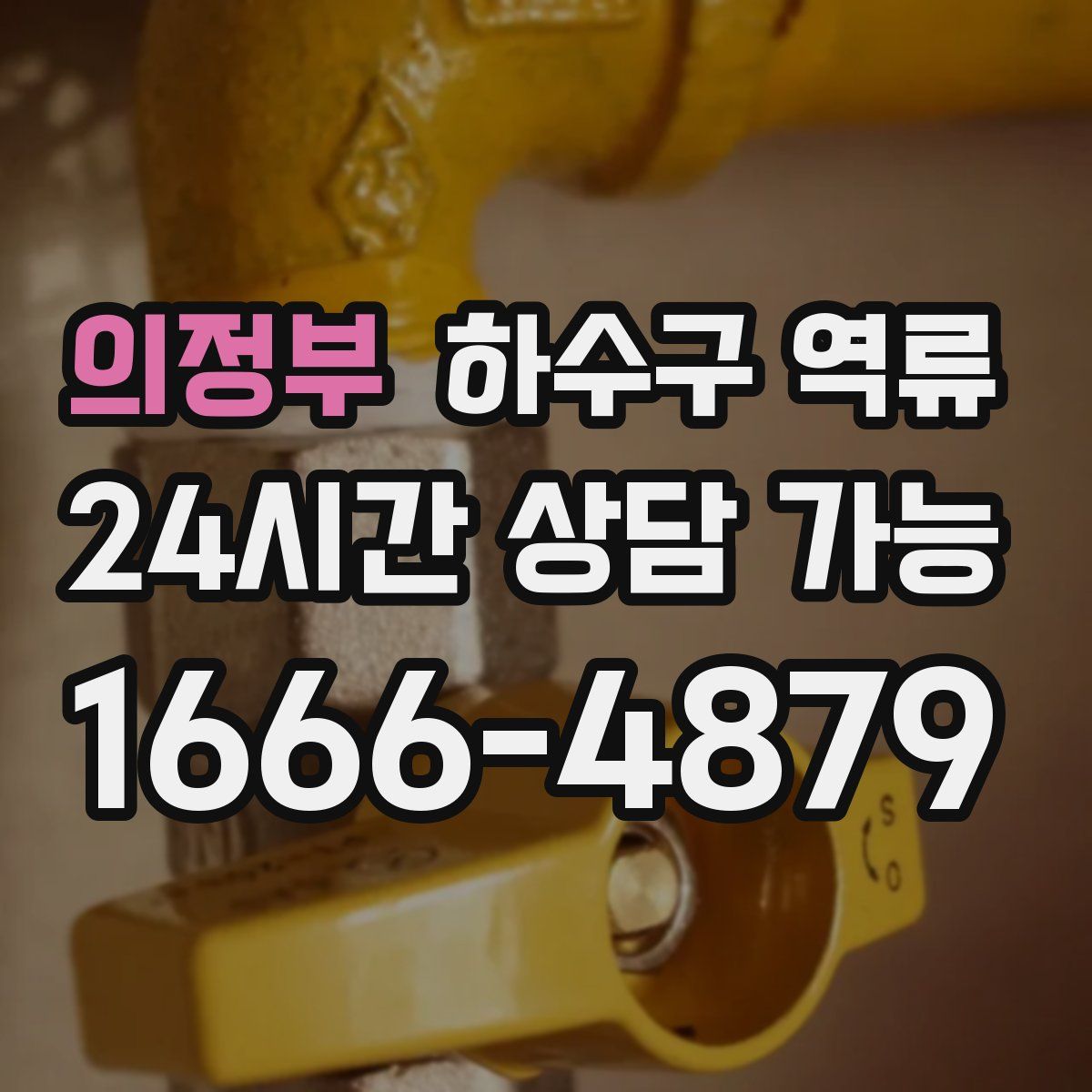 의정부 하수구 역류