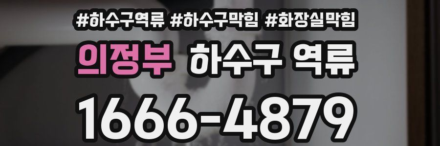 의정부 하수구 역류