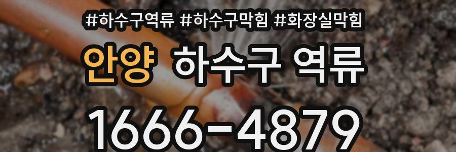 안양 하수구 역류