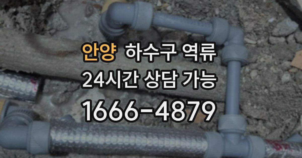 안양 하수구 역류