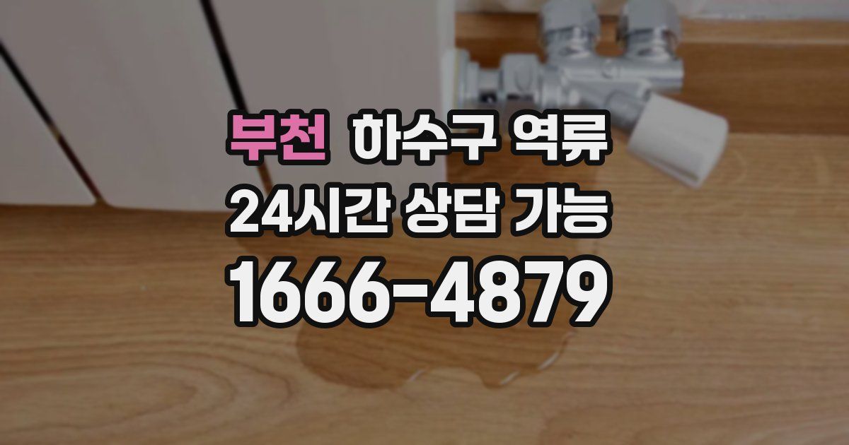 부천 하수구 역류