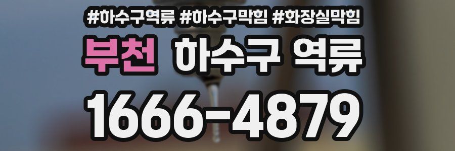 부천 하수구 역류