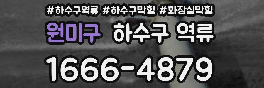 원미구 하수구 역류