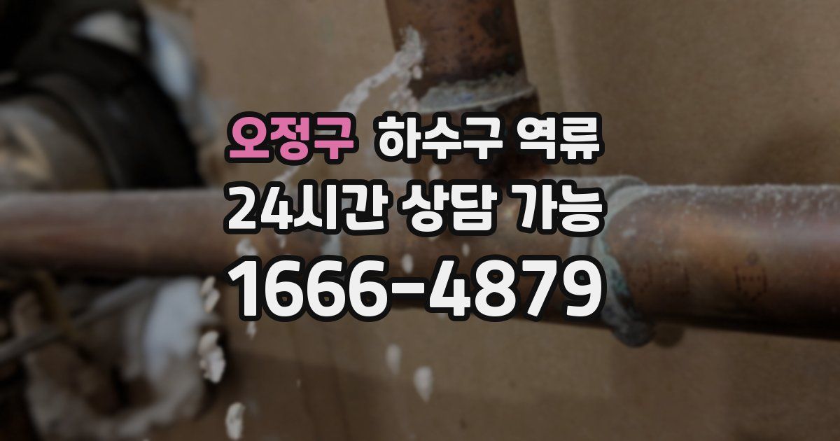 오정구 하수구 역류