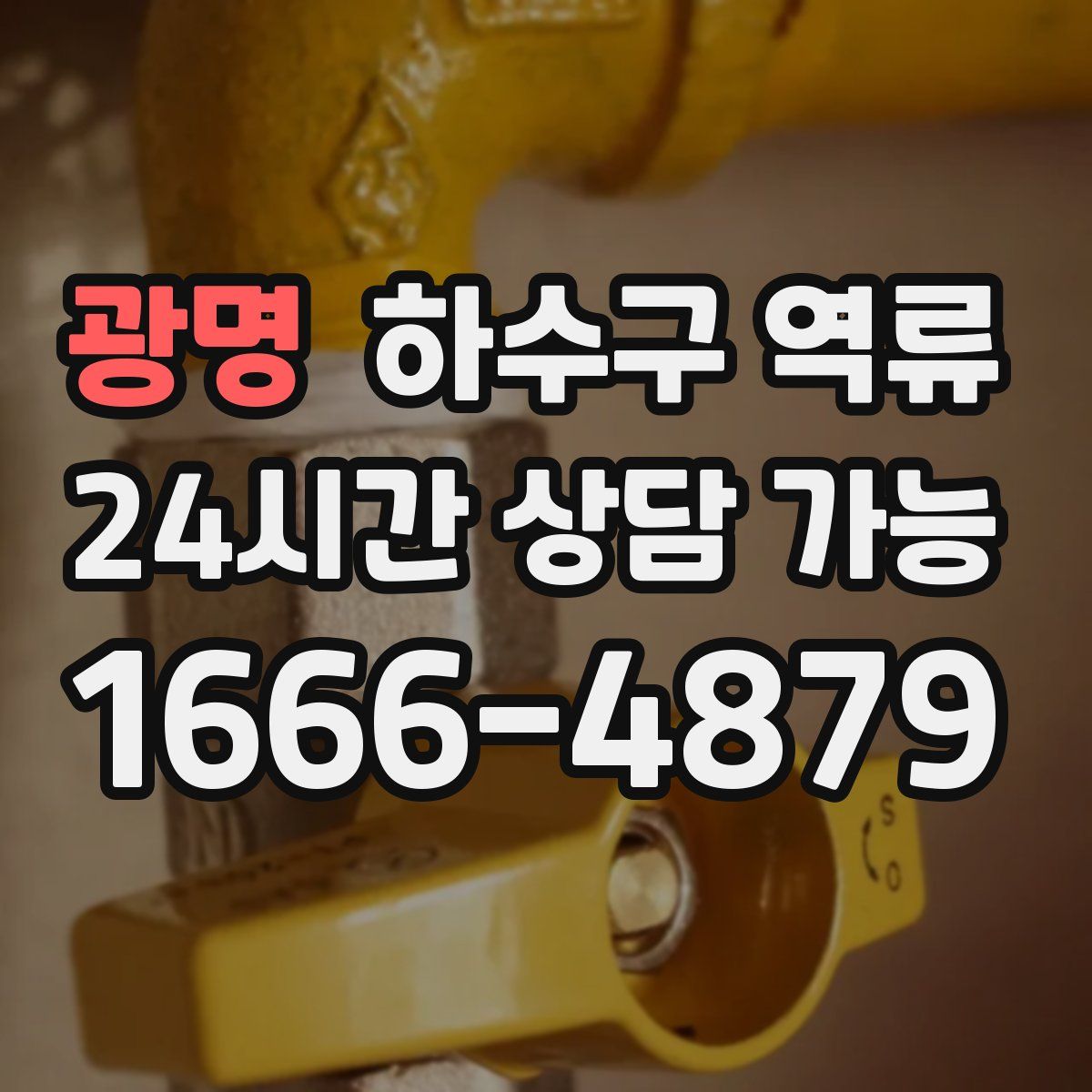 광명 하수구 역류