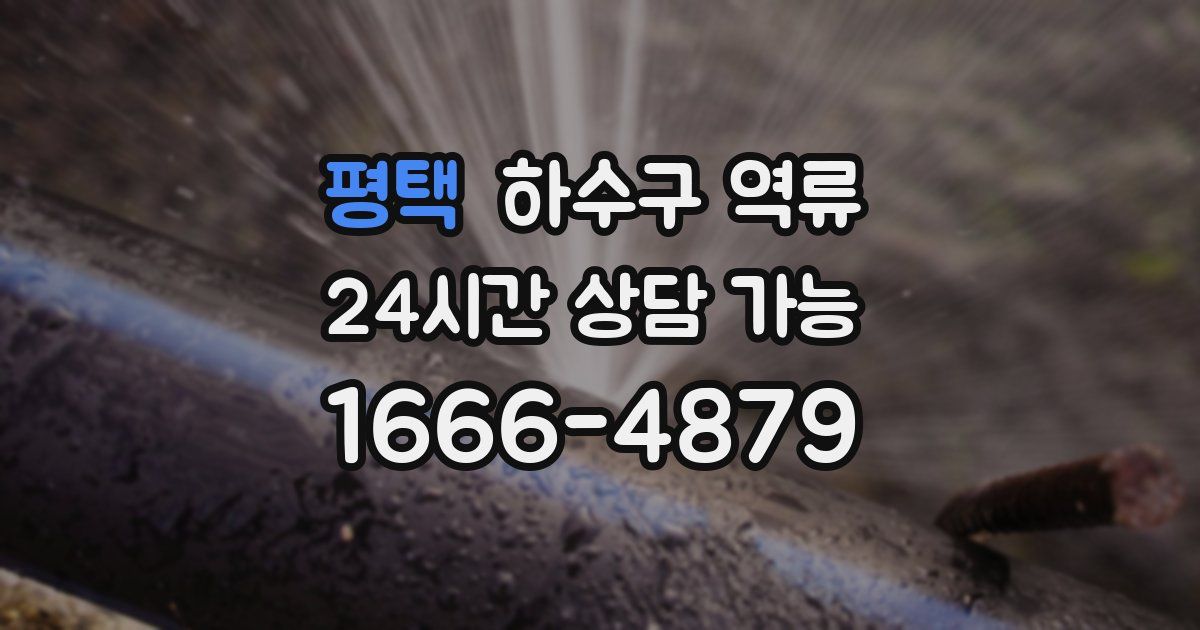 평택 하수구 역류