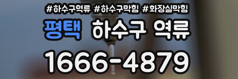 평택 하수구 역류