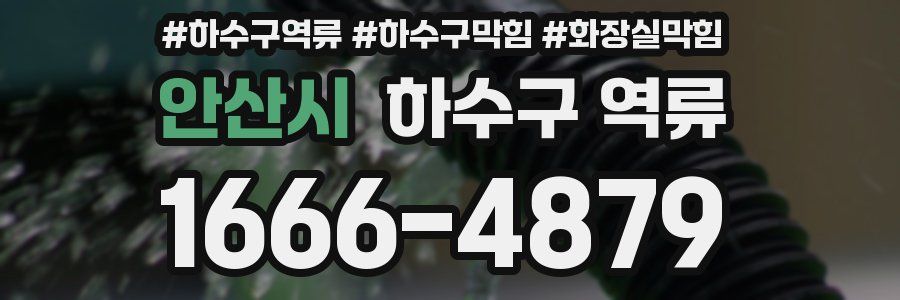 안산시 하수구 역류