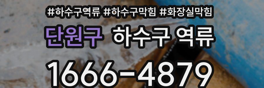 단원구 하수구 역류