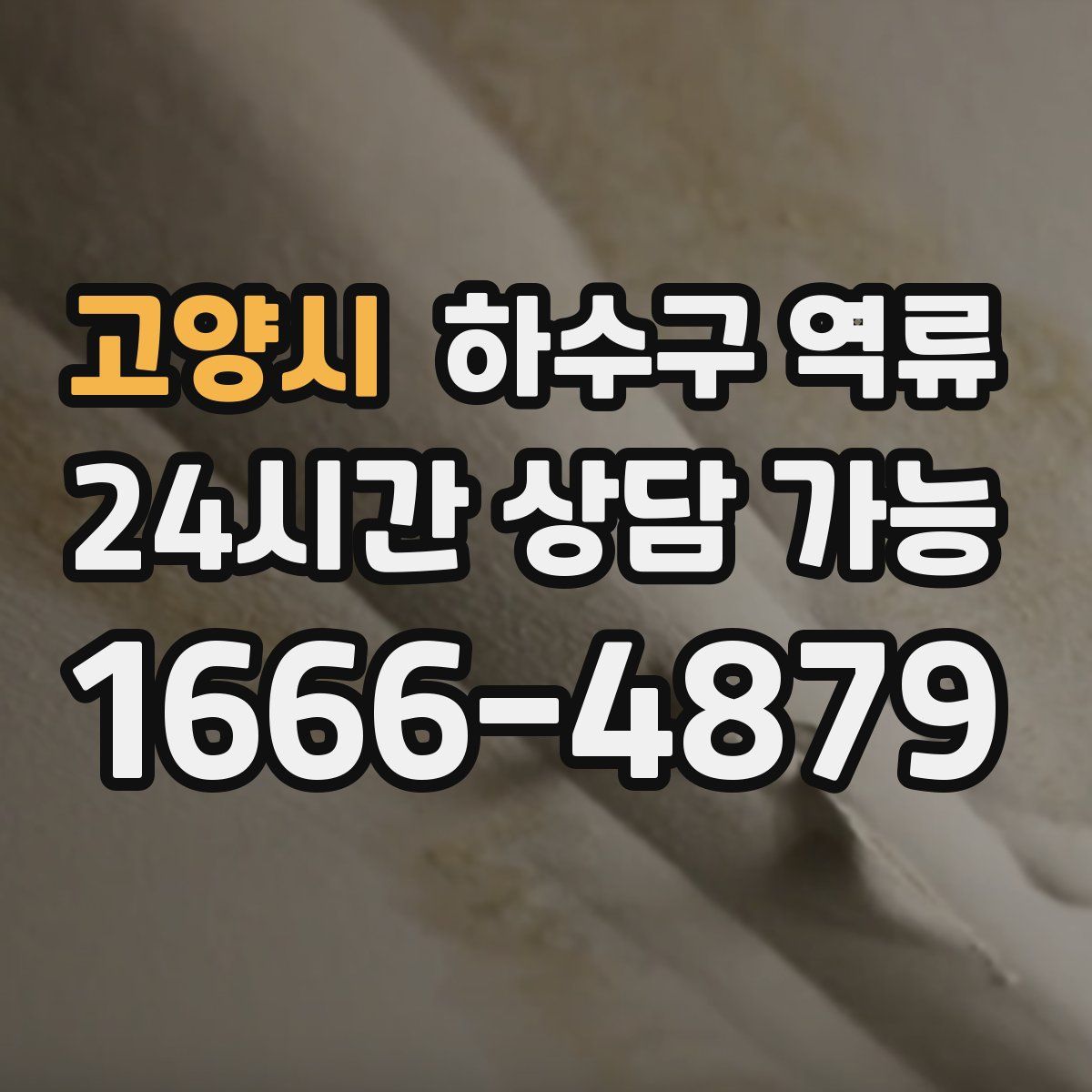 고양시 하수구 역류