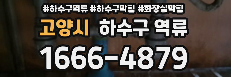 고양시 하수구 역류