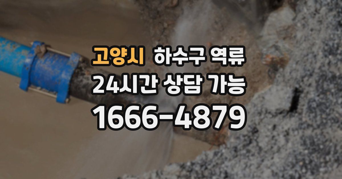 고양시 하수구 역류