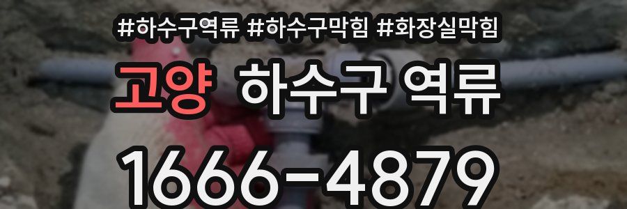고양 하수구 역류