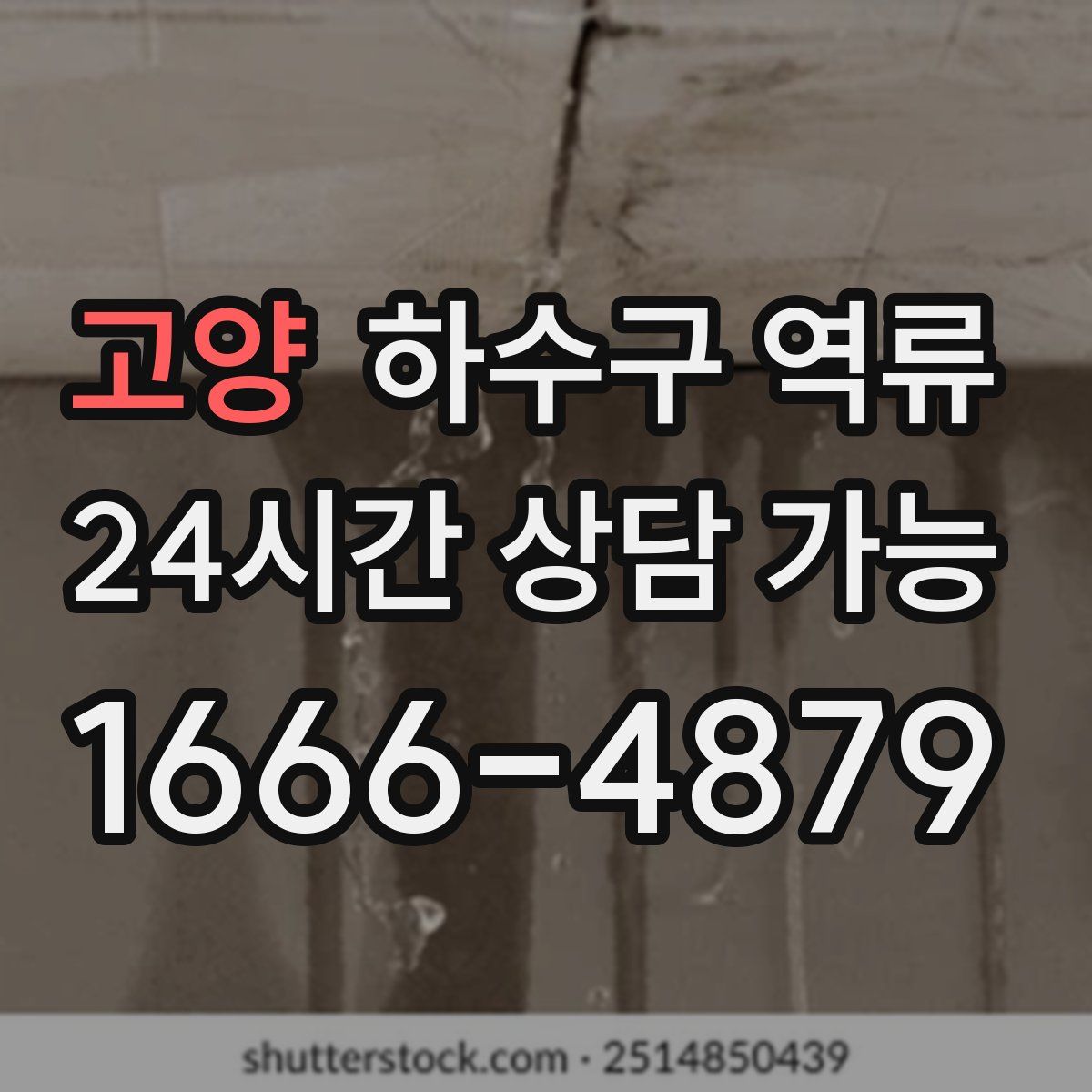 고양 하수구 역류