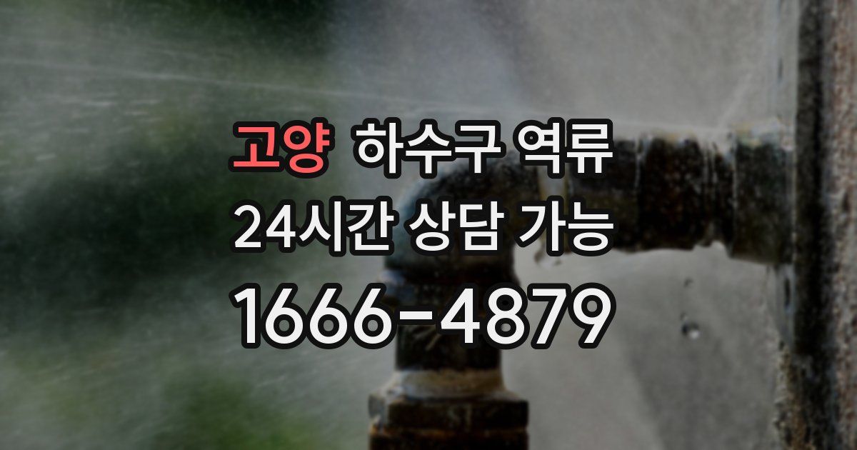 고양 하수구 역류