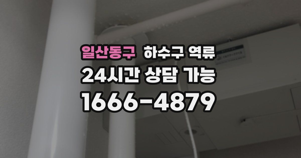 일산동구 하수구 역류