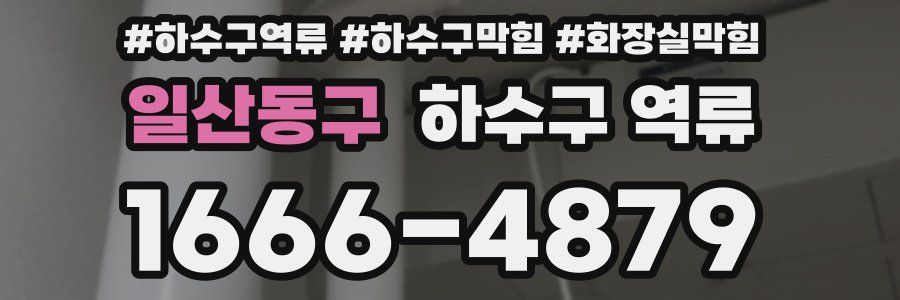 일산동구 하수구 역류