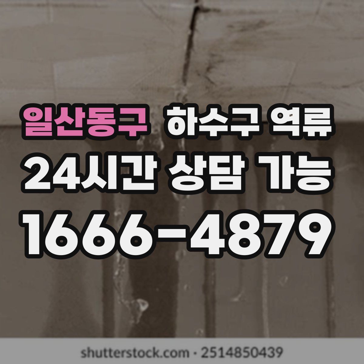 일산동구 하수구 역류
