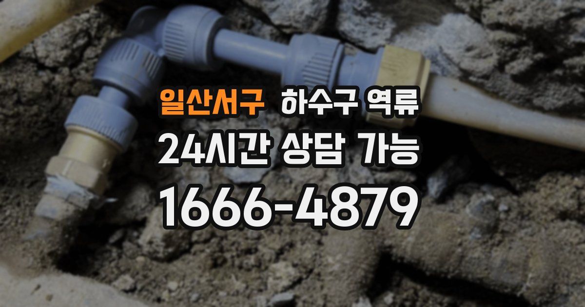 일산서구 하수구 역류