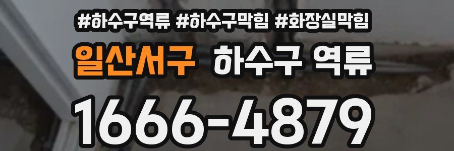 일산서구 하수구 역류