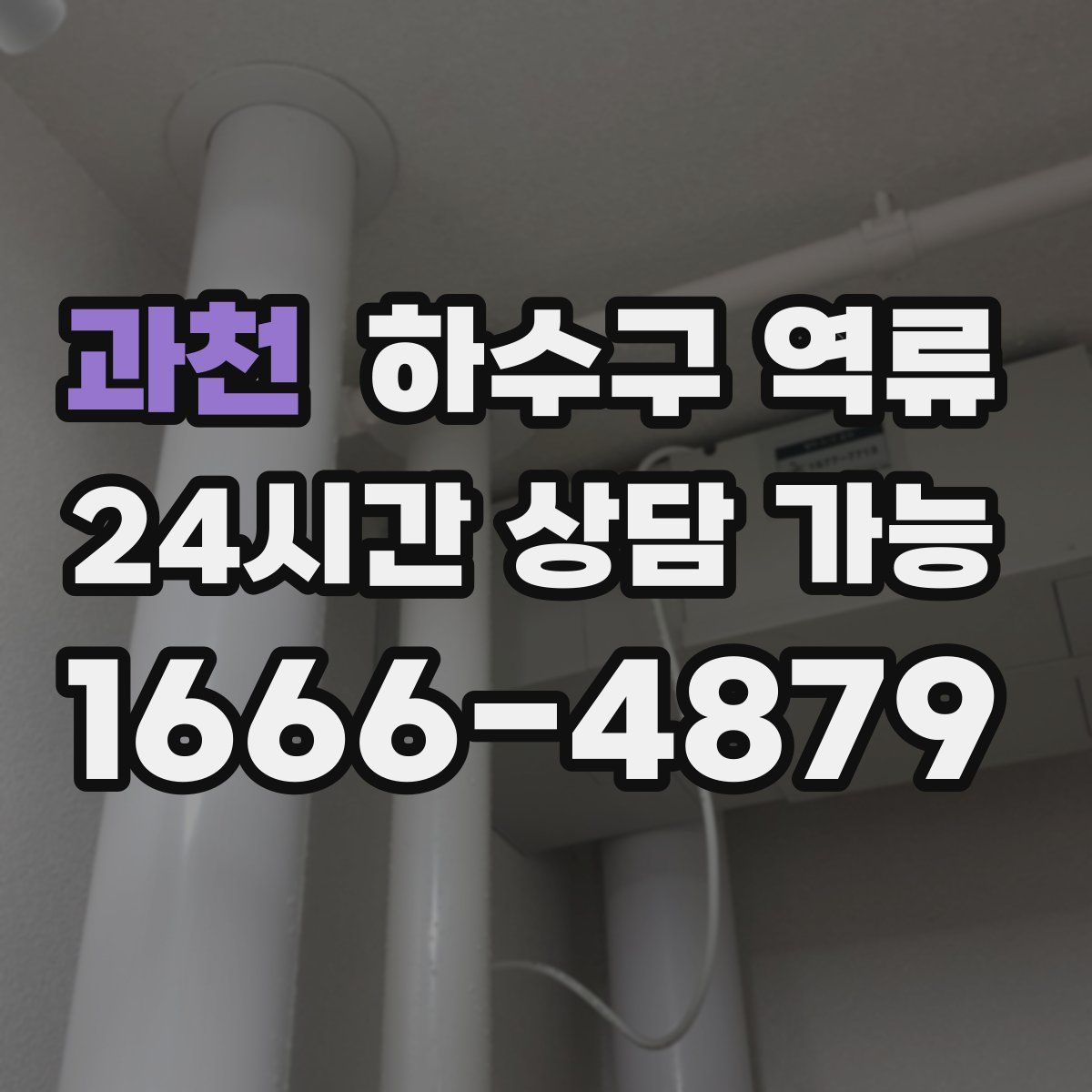 과천 하수구 역류