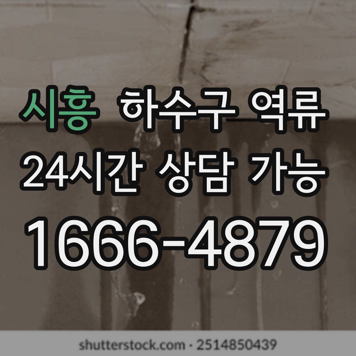 시흥 하수구 역류