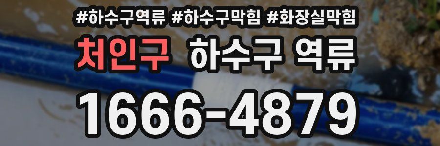 처인구 하수구 역류