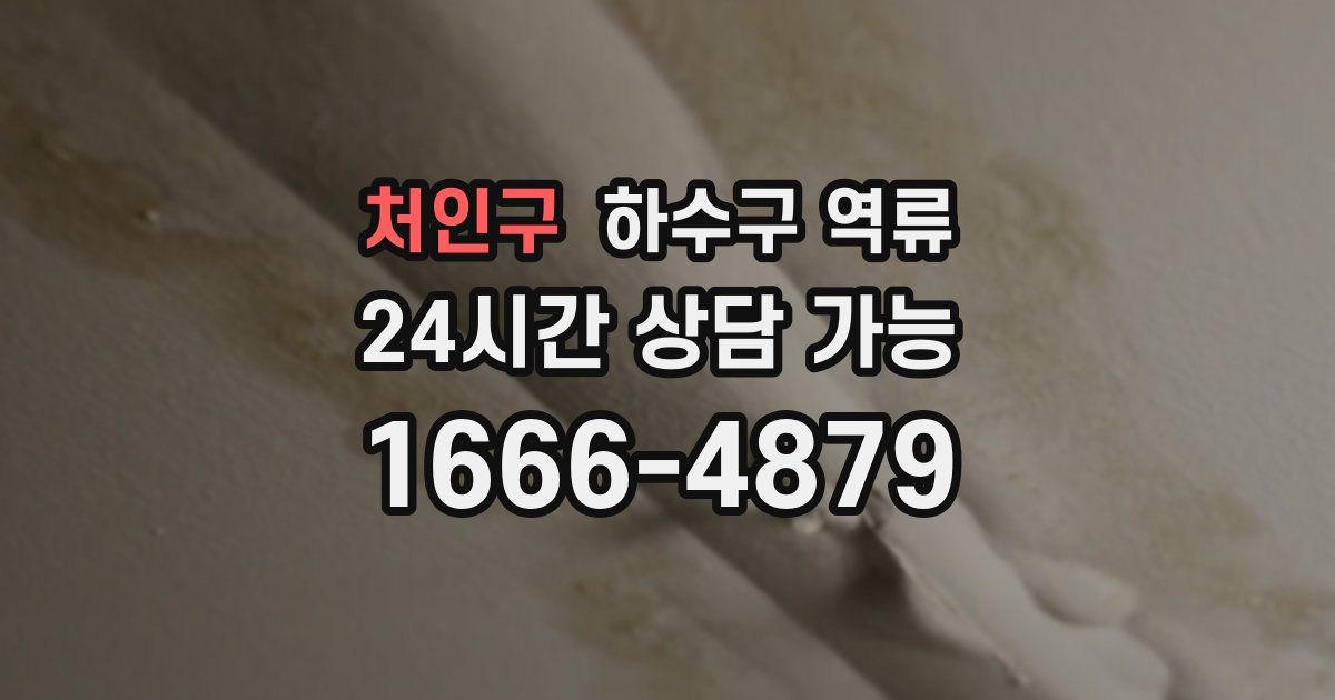 처인구 하수구 역류