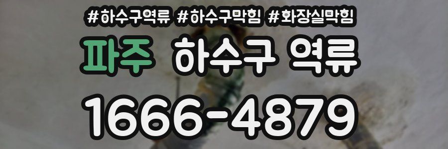 파주 하수구 역류