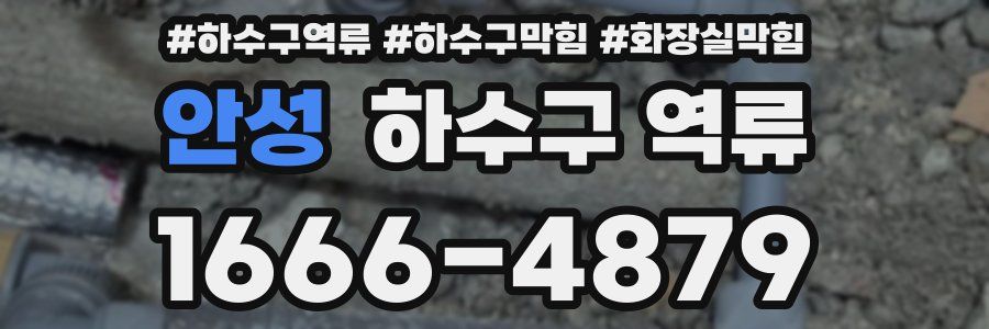 안성 하수구 역류