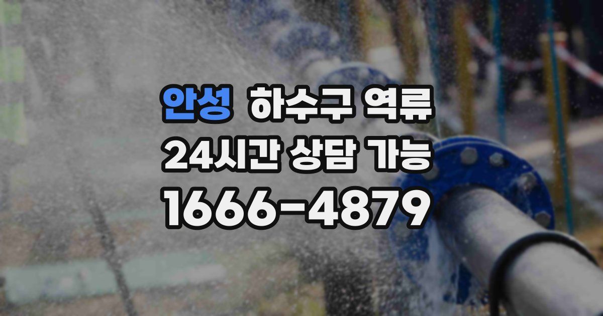 안성 하수구 역류