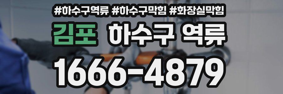 김포 하수구 역류