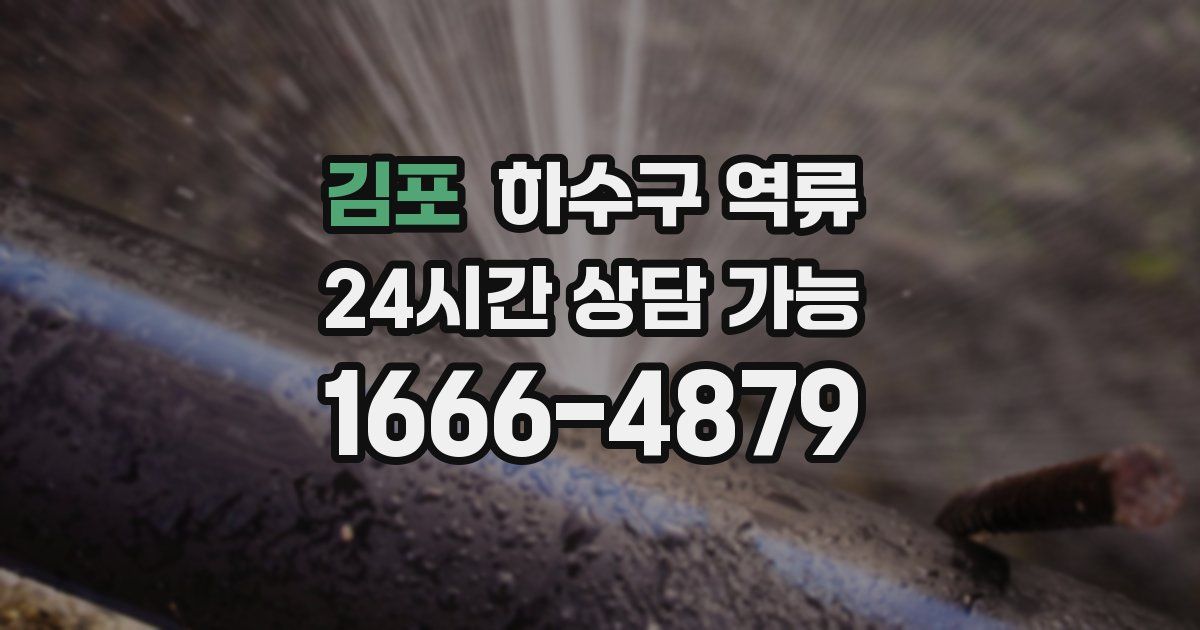 김포 하수구 역류